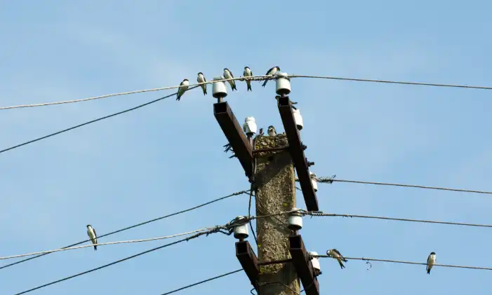 Buyers Of Transformers, Copper, And All Kinds Of Electrical Systems For Dismantling